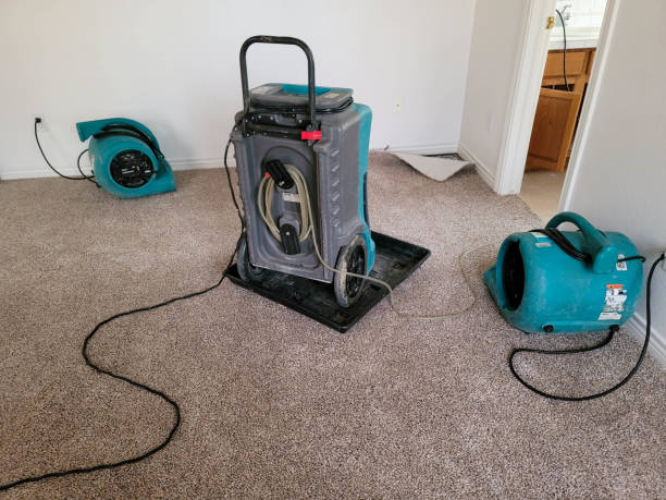 Best Sewage cleanup and water damage restoration  in Puxico, MO