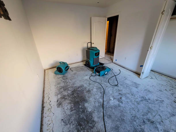 Water damage restoration mold remediation