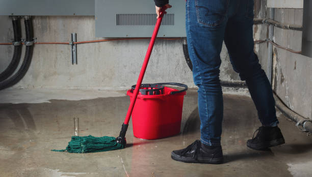 Best Water damage restoration experts  in Puxico, MO