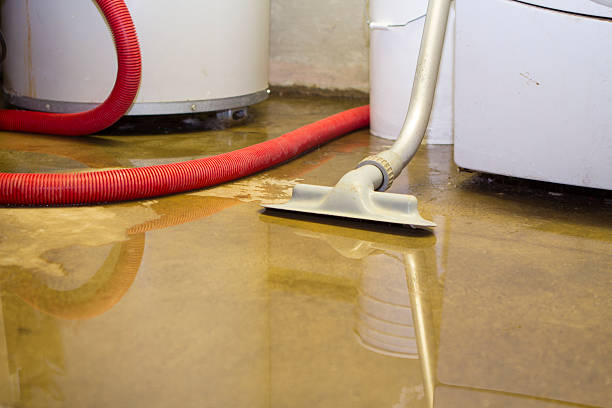 Best Water damage restoration near me  in Puxico, MO