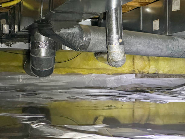 Best 24-hour water damage restoration  in Puxico, MO